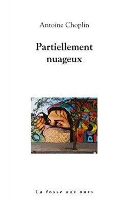 Afficher "Partiellement nuageux"